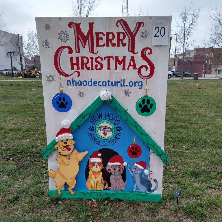 2023 Decatur Downtown Postcard Signs