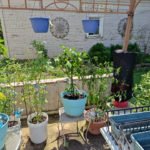 Weekly Wrap Up (2025.08.02)