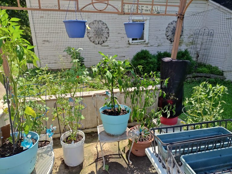 Weekly Wrap Up (2025.08.02)