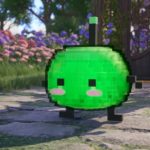 Weekly Wrap Up (2025.09.28)